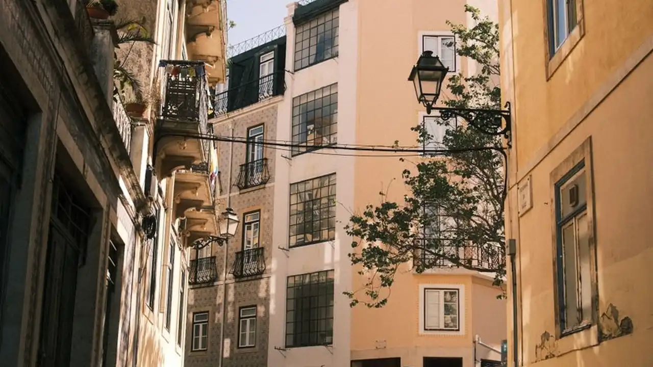 撸社图标